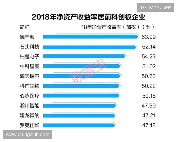 全面解析新疆足球鞋线下线上销售地点与便捷购买渠道指南全方位解